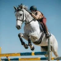 Forfait-Court-e1644397056544-pk92aff8akiwzgtf8135h4sinuz42kbxdpr3qzfphs